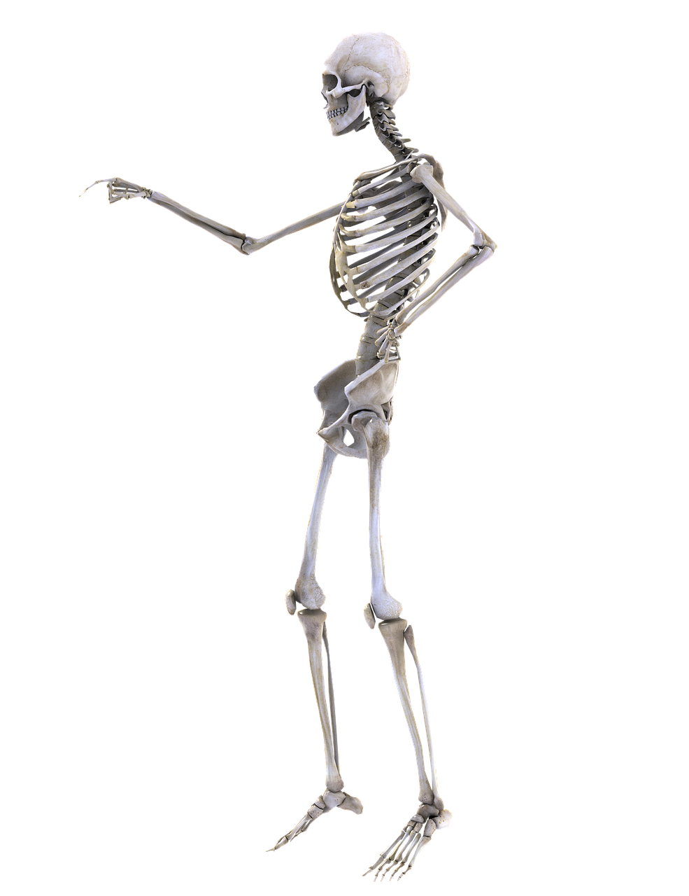 an image of a skeleton on a black background, a digital rendering, fine art, doing a sassy pose, full height sculpture, -h 1024, side view close up of a gaunt