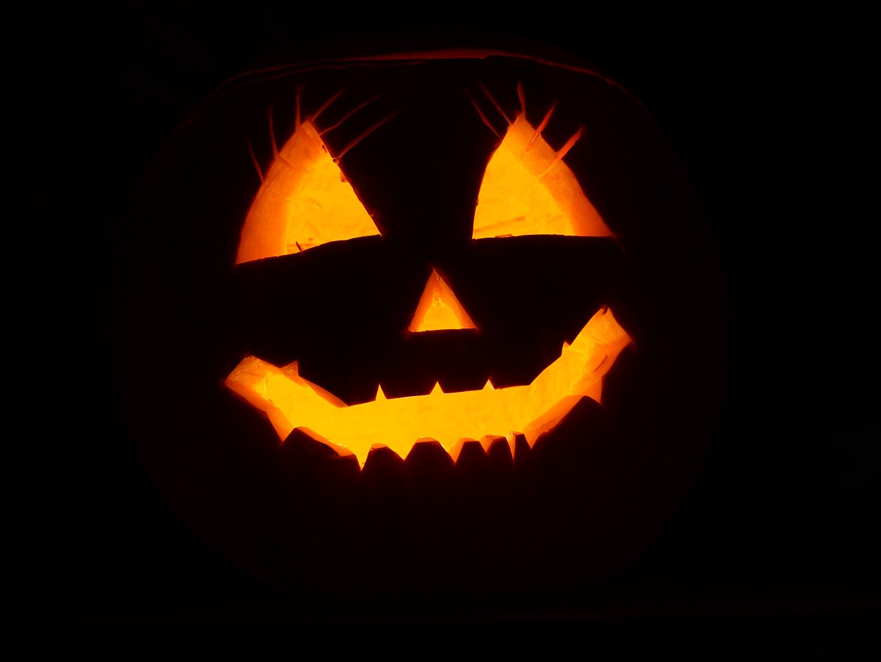 a jack o lantern lit up in the dark, a picture, istockphoto, [[[[grinning evily]]]], halloween film, rectangular