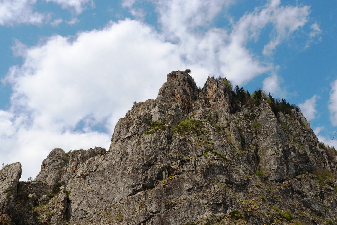 a group of people standing on top of a mountain, a photo, figuration libre, extremely detailed rocky crag, in the swiss alps, an eagle flying, very sharp photo