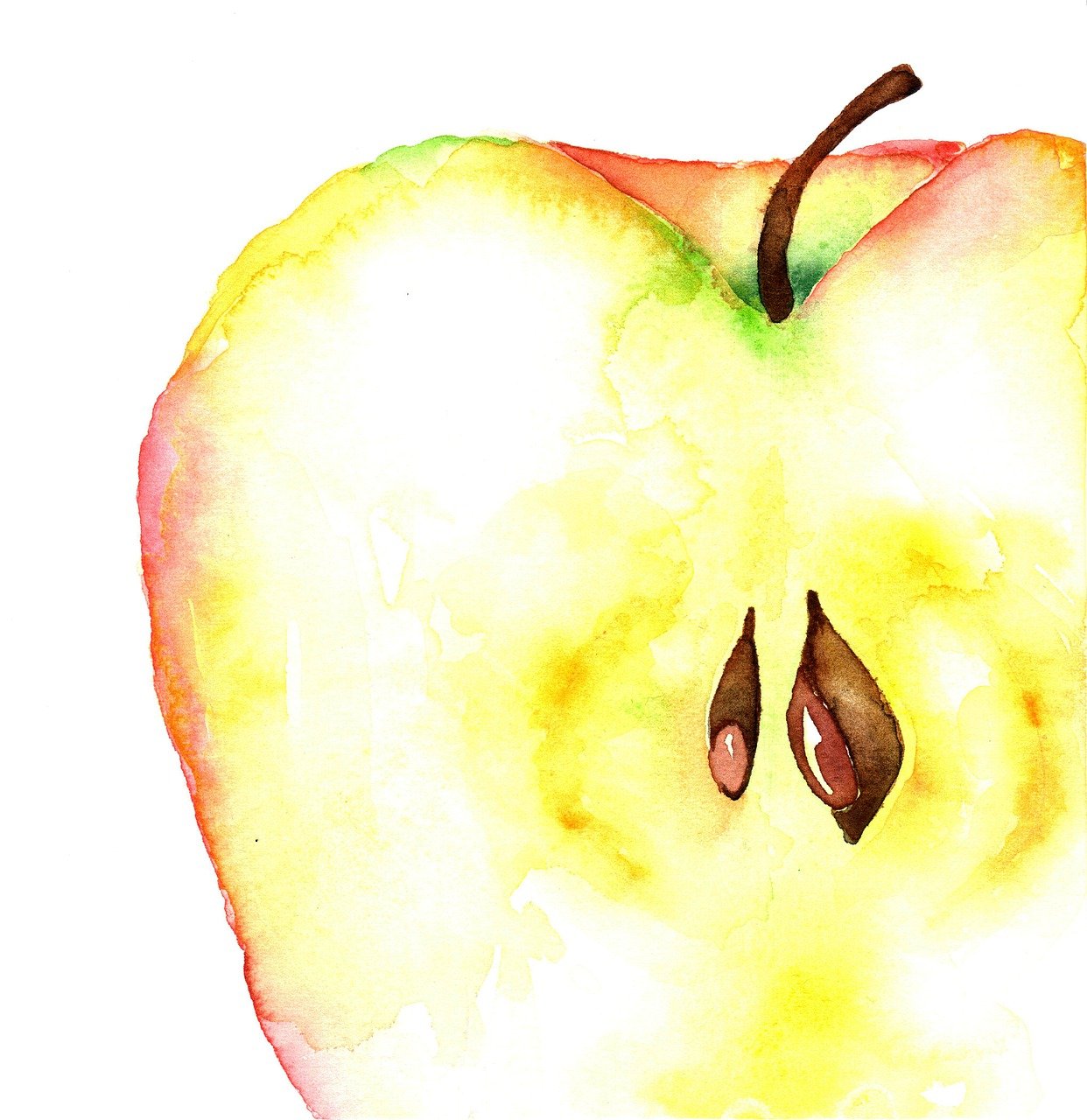 a watercolor painting of an apple cut in half, a watercolor painting, shutterstock, closeup photo, iphone 15 background, annie leibowit, art in the style of joshy sly