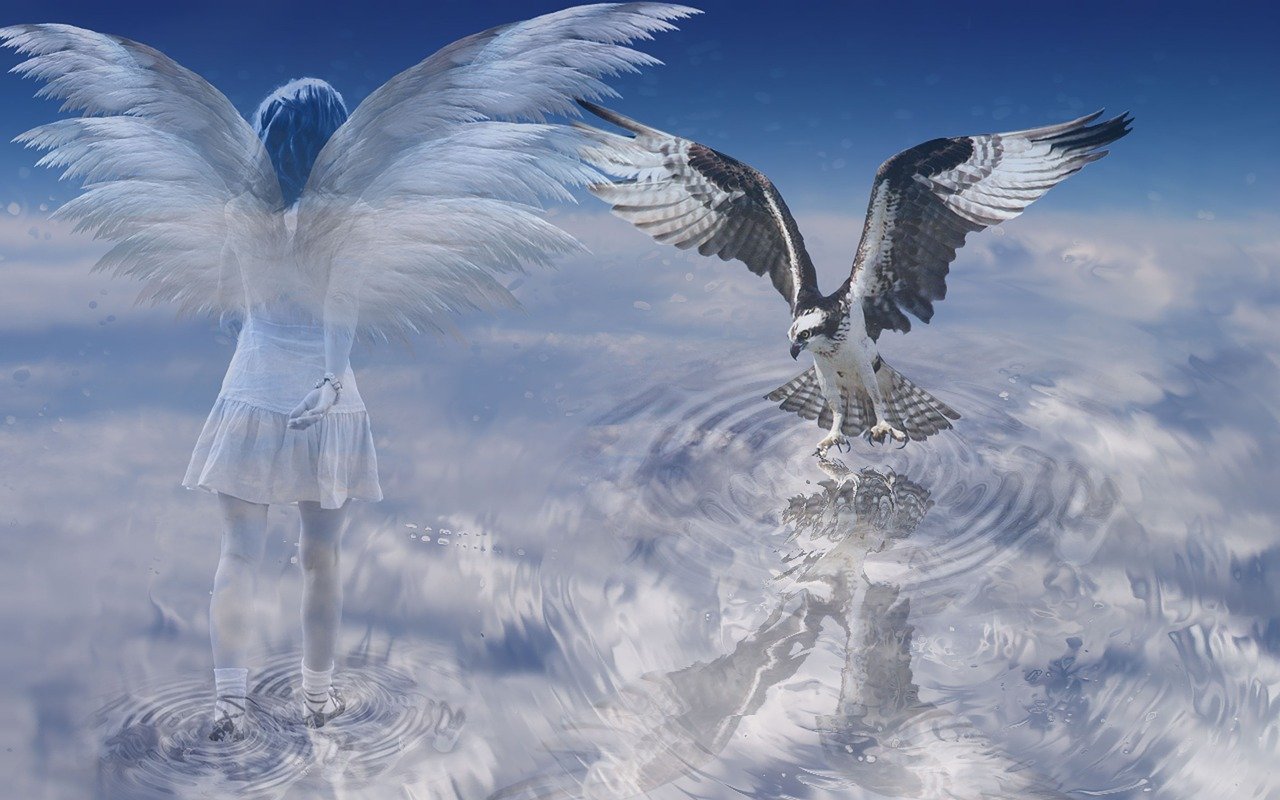 a couple of birds that are standing in the water, digital art, digital art, angels protecting a praying man, above the clouds, silver angel wings, dominant wihte and blue colours
