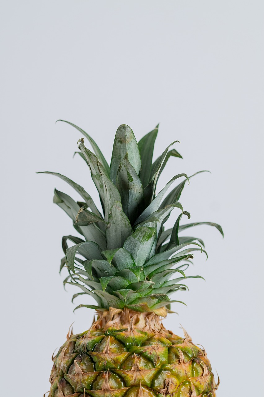 a close up of a pineapple on a table, a picture, by Emanuel de Witte, pexels, hyperrealism, on a gray background, half body photo, greens), stock photo