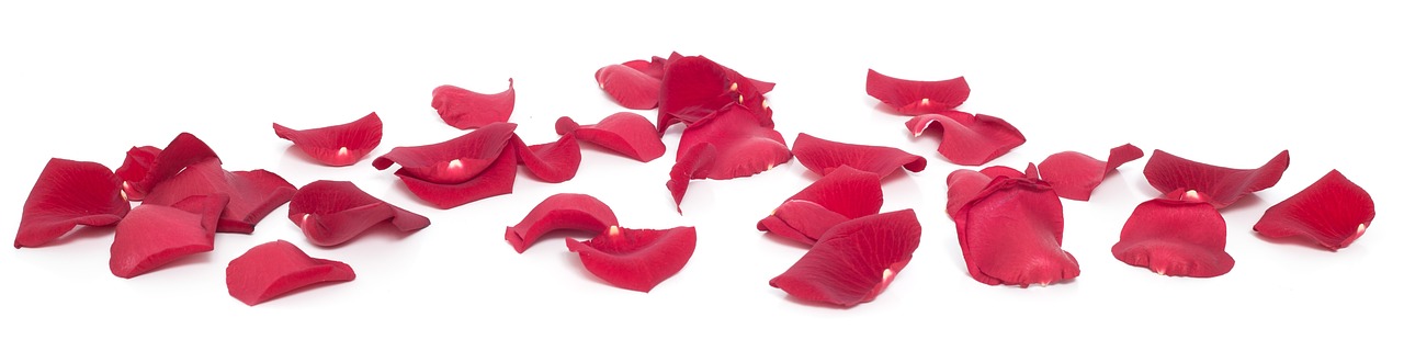 a pile of red rose petals on a white surface, by Eva Gonzalès, high quality product image”, modeled, detalied, rubi