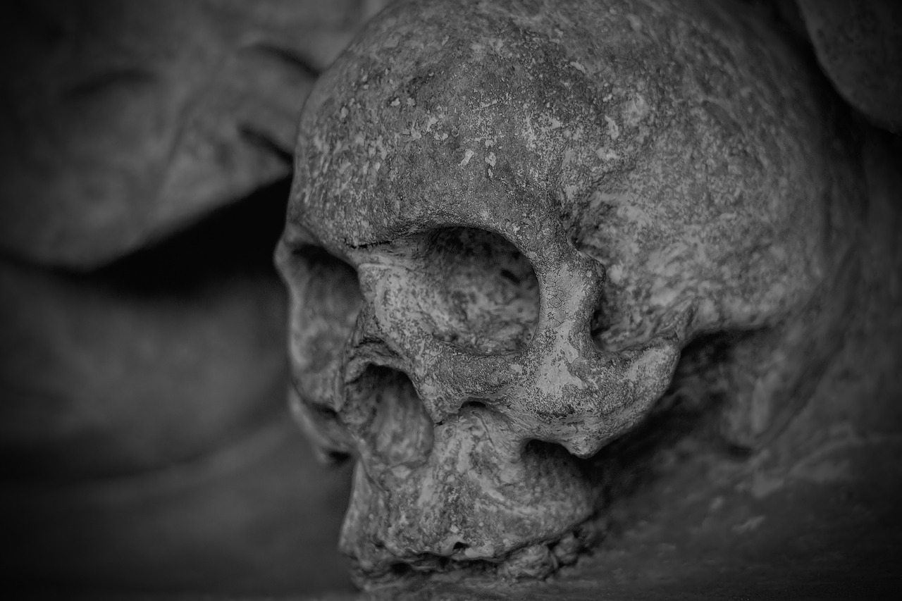 a black and white photo of a skull, by Alexander Fedosav, pexels contest winner, black lung detail, 8k 50mm iso 10, an ancient, detailed 4 k photo