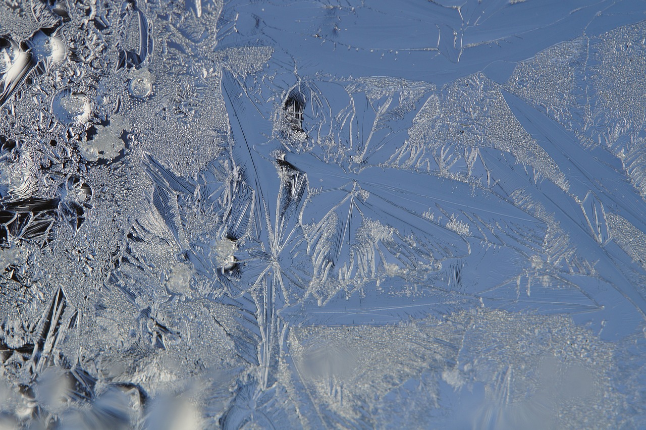 a group of birds standing on top of a snow covered field, a microscopic photo, crystal cubism, high detailed thin stalagtites, transparent glass surfaces, frozen river, microscopic photo