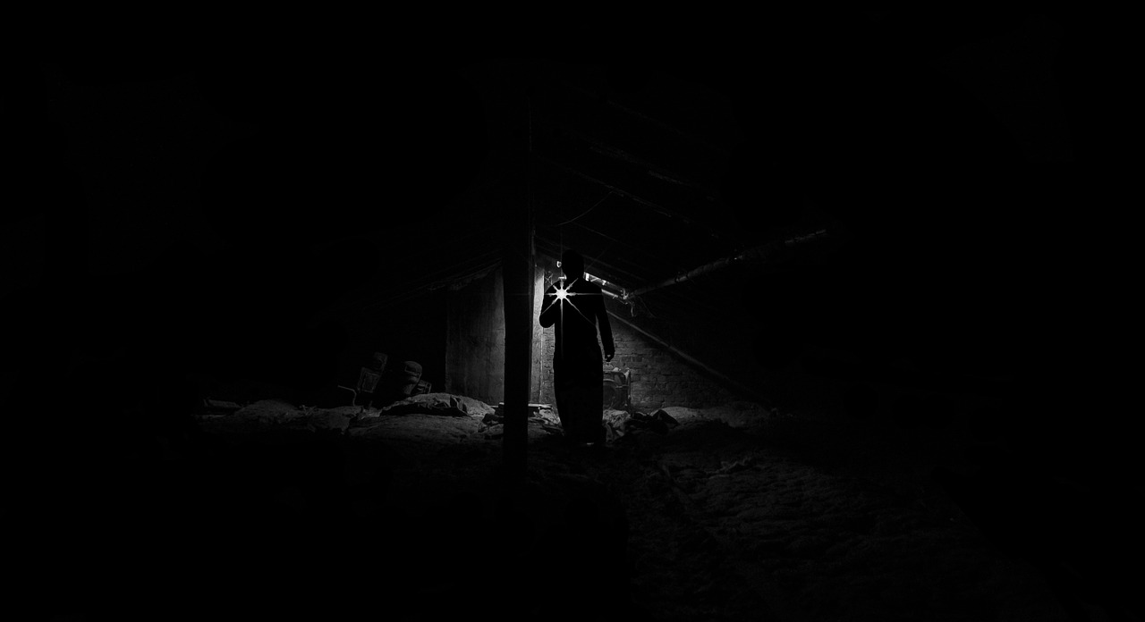 a black and white photo of a person in the dark, by Anato Finnstark, light inside the hut, holding a torch, camera flash is so bright, digital photo