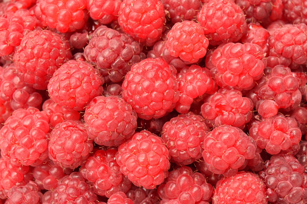 a close up of a bunch of raspberries, a digital rendering, by Róbert Berény, hyper - detailed color photo, f 2. 4, high res photo, very very well detailed image