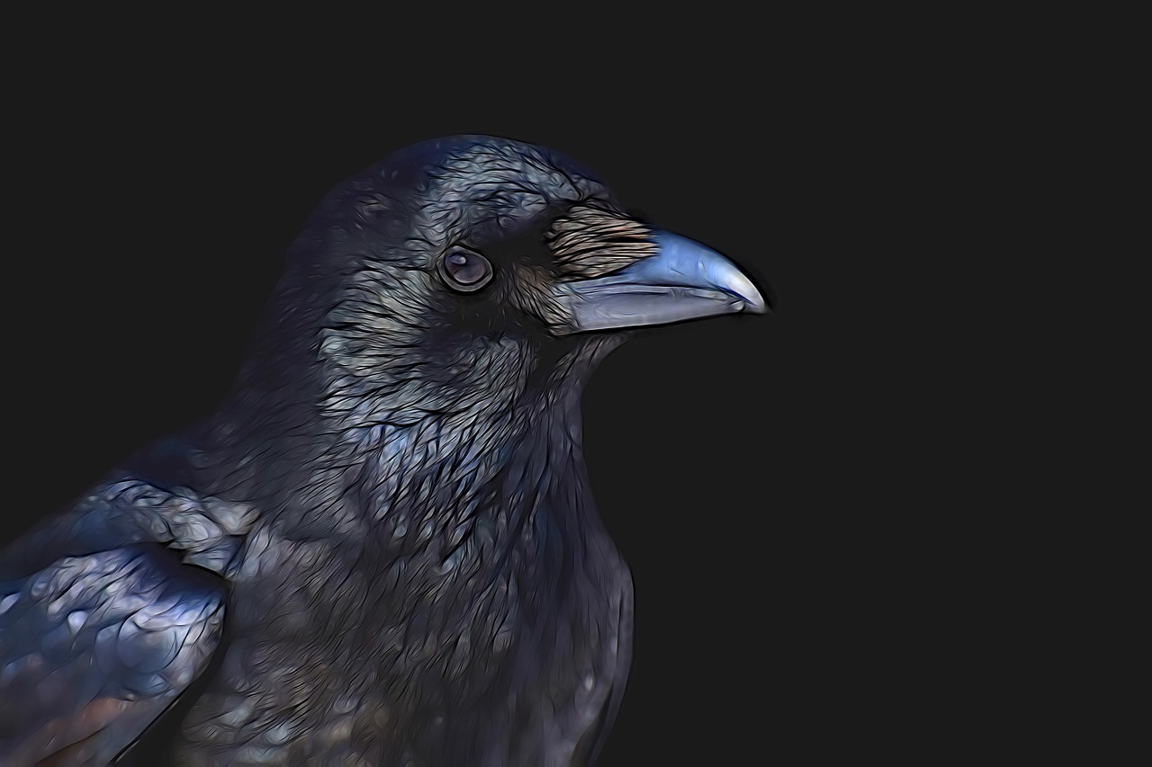 a close up of a bird on a black background, a digital painting, inspired by Gonzalo Endara Crow, digital art, high resolution ultradetailed, indigo renderer, long thick shiny black beak, on a gray background