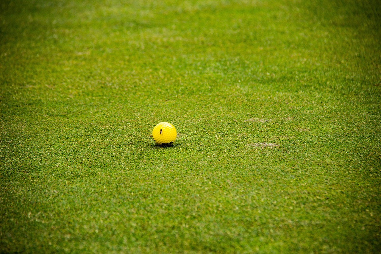 a yellow ball sitting on top of a lush green field, by Richard Carline, tournament, single centered subject, telephoto long distance shot, off - putting