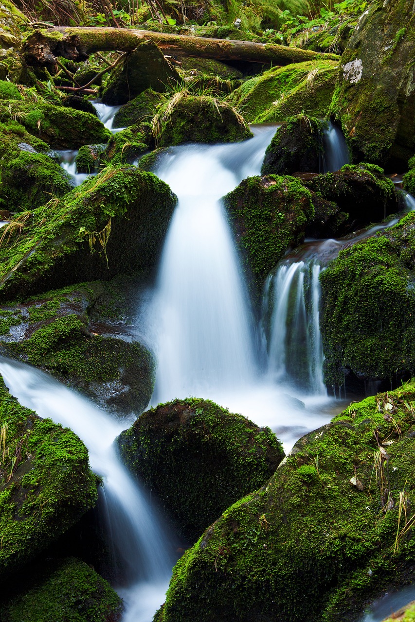 a stream running through a lush green forest, a tilt shift photo, by Alexander Robertson, shutterstock, moist mossy white stones, playing in waterfalls, long exposure photo, sake