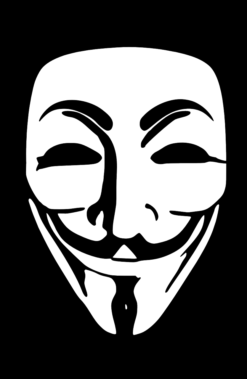 a guy wearing a v for vendette mask, vector art, pixabay, anarchy, (grin), hacking, black and white only