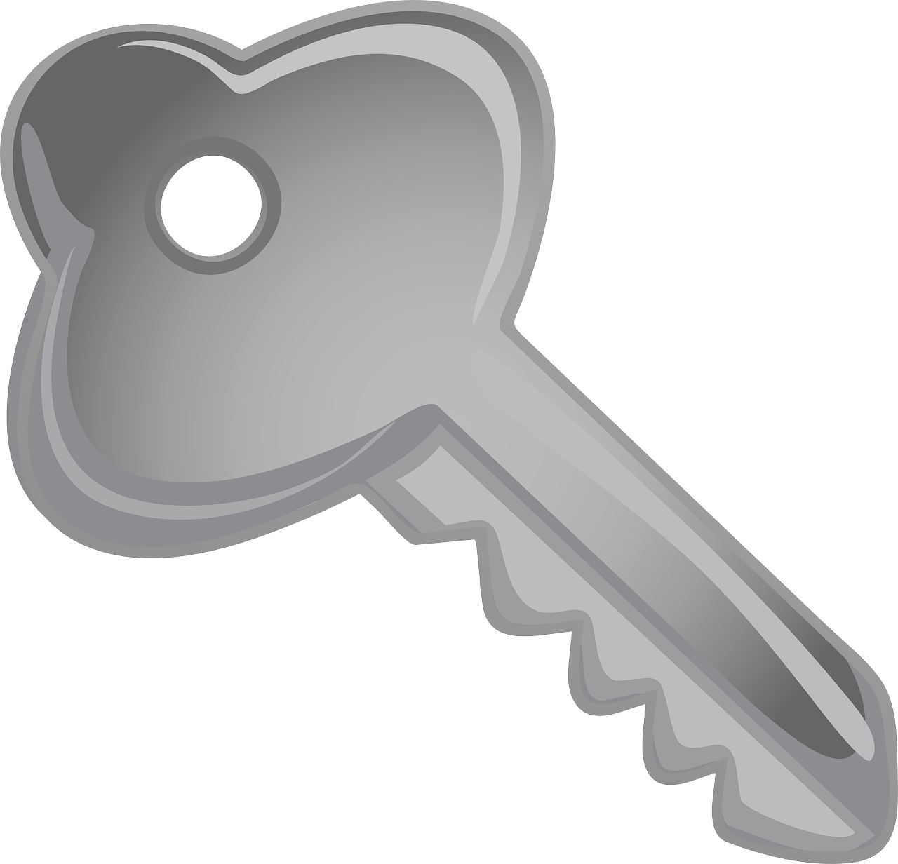 a metal key with a hole in the middle, an illustration of, computer art, no gradients, solid gray, clip art, right side key light