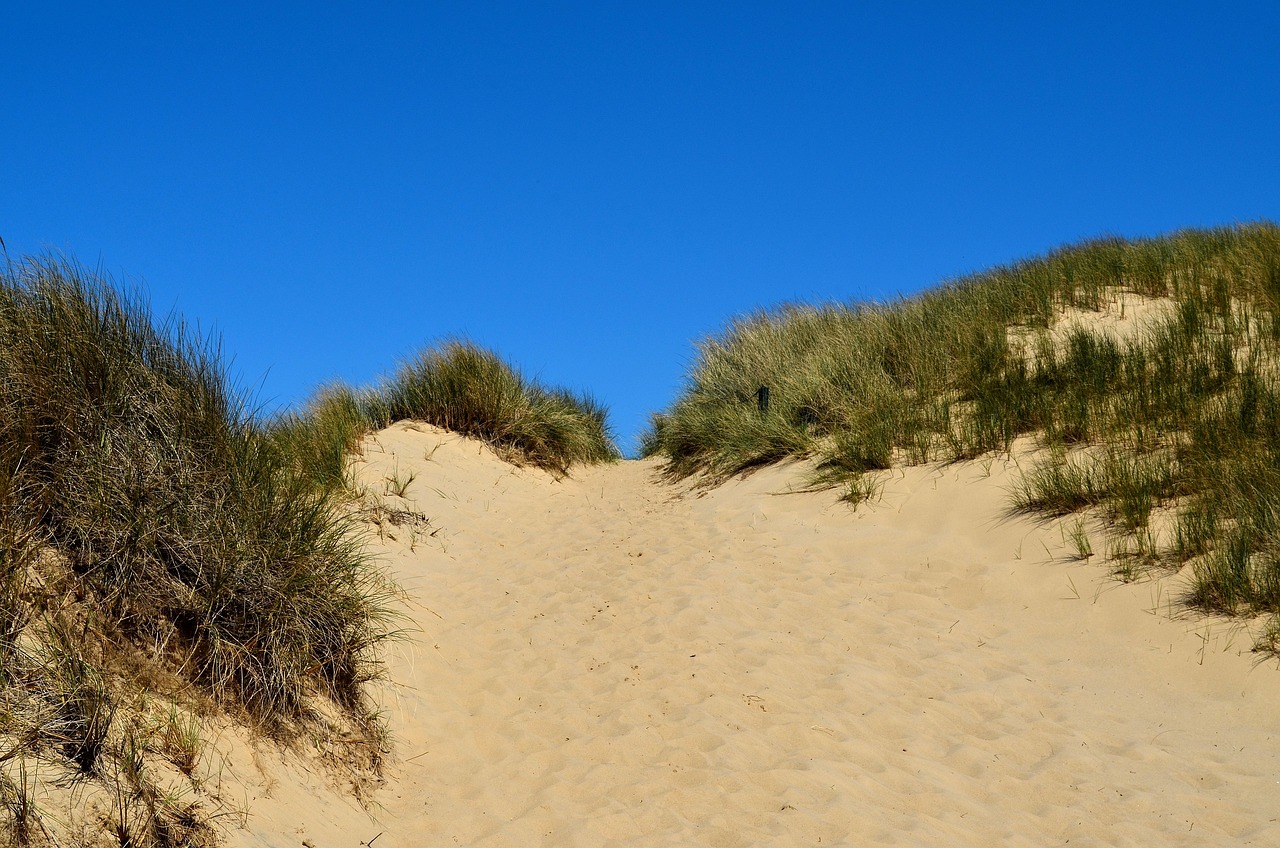 the grass is growing on the sand dunes, by Edward Corbett, pixabay, clear blue skies, narrow footpath, bunkers, jump