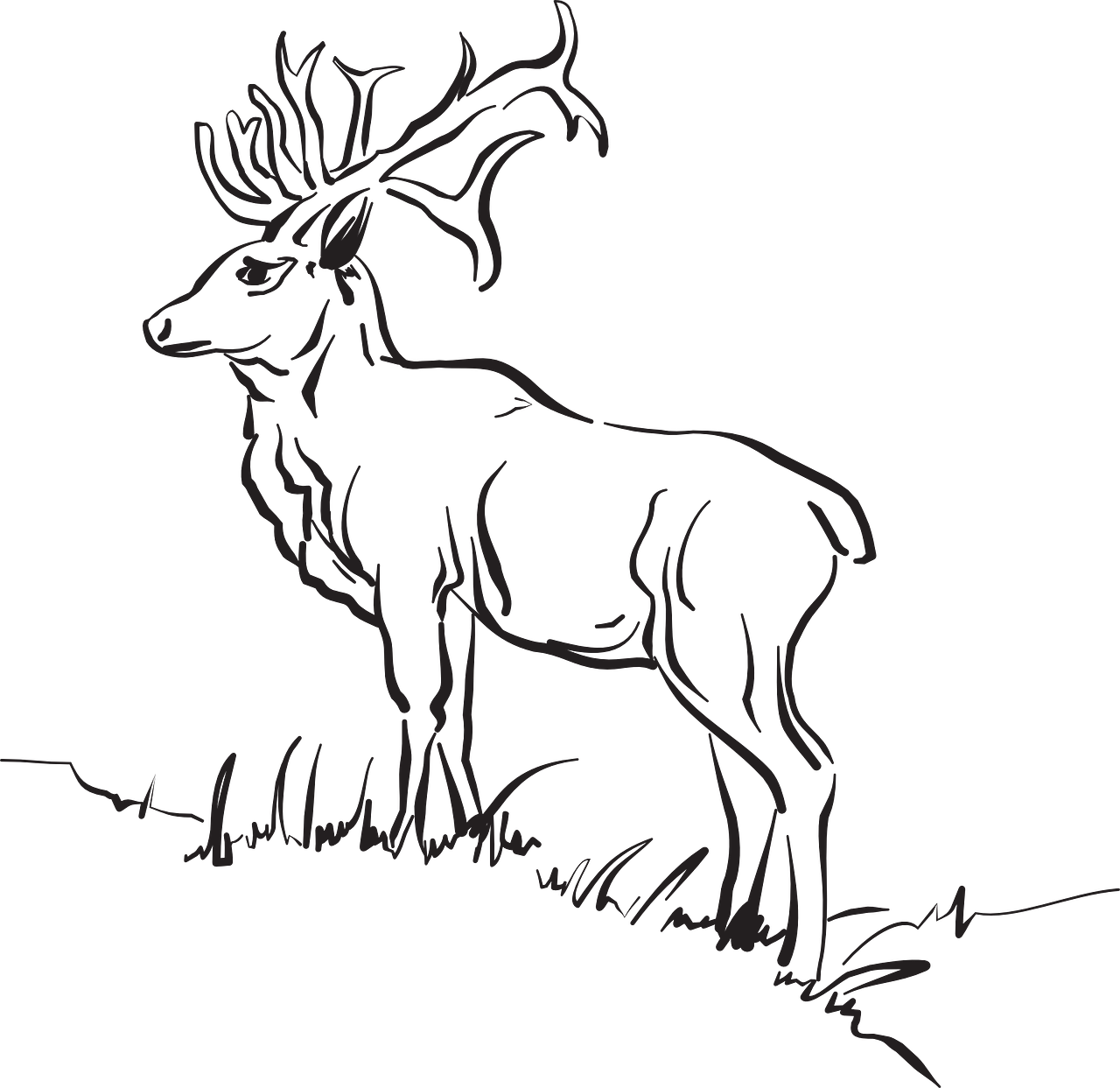 a deer that is standing in the grass, a sketch, by Andrei Kolkoutine, tumblr, sots art, black backround. inkscape, elk, iphone background, side