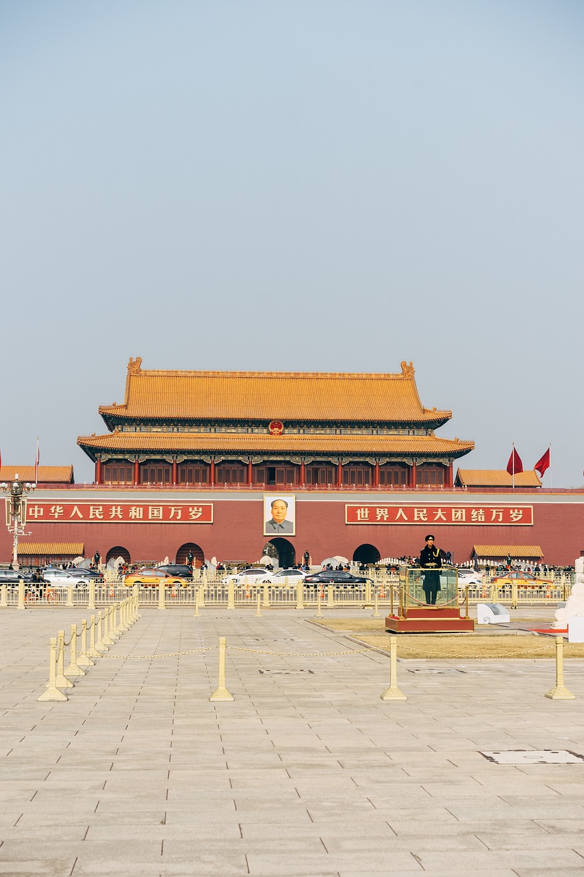 a man that is standing in front of a building, by Weiwei, visual art, tiananmen square, huge gate, detailed medium format photo, the photo shows a large