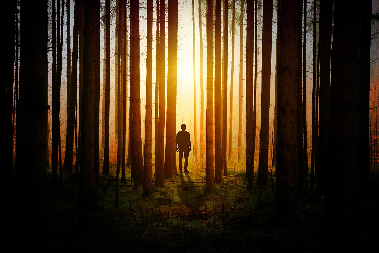 a person standing in the middle of a forest, a picture, by Jesper Knudsen, romanticism, sunset atmosphere, istock, the wood between the worlds, the world between death and life
