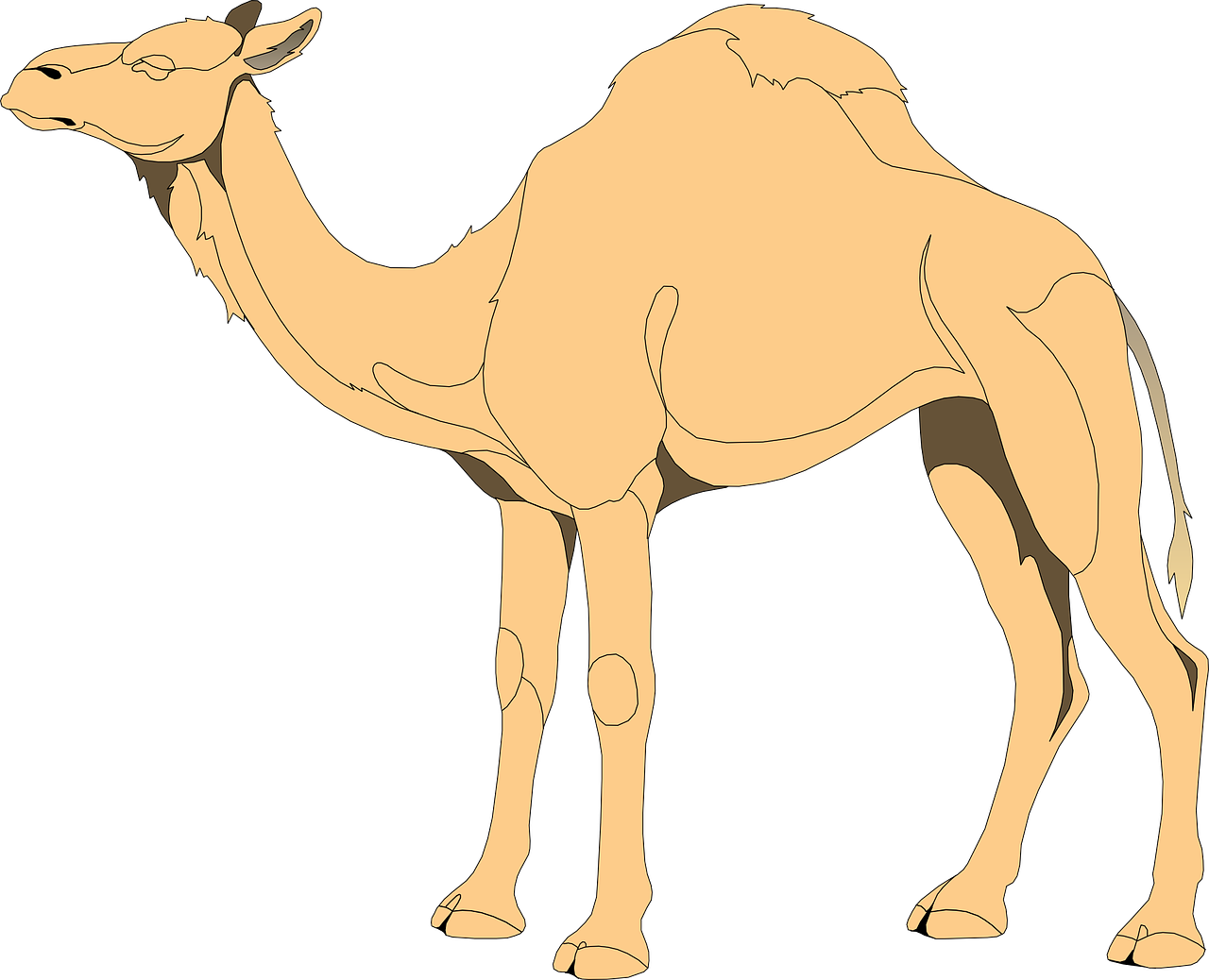 a camel standing in front of a black background, an illustration of, by Joseph Henderson, shutterstock, colored lineart, 2d side view, rotoscoped, ms paint drawing