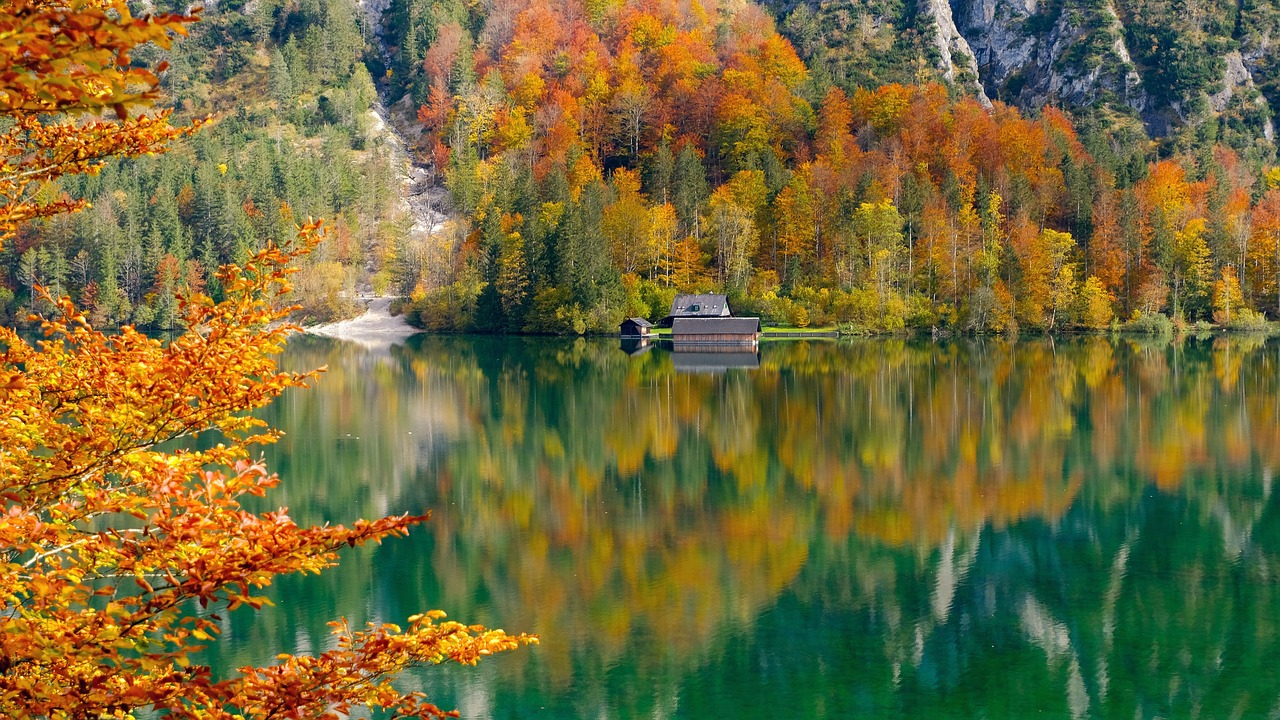 a large body of water surrounded by trees, by Armin Baumgarten, shutterstock, colorful house, prize winning color photo, fall, !!natural beauty!!
