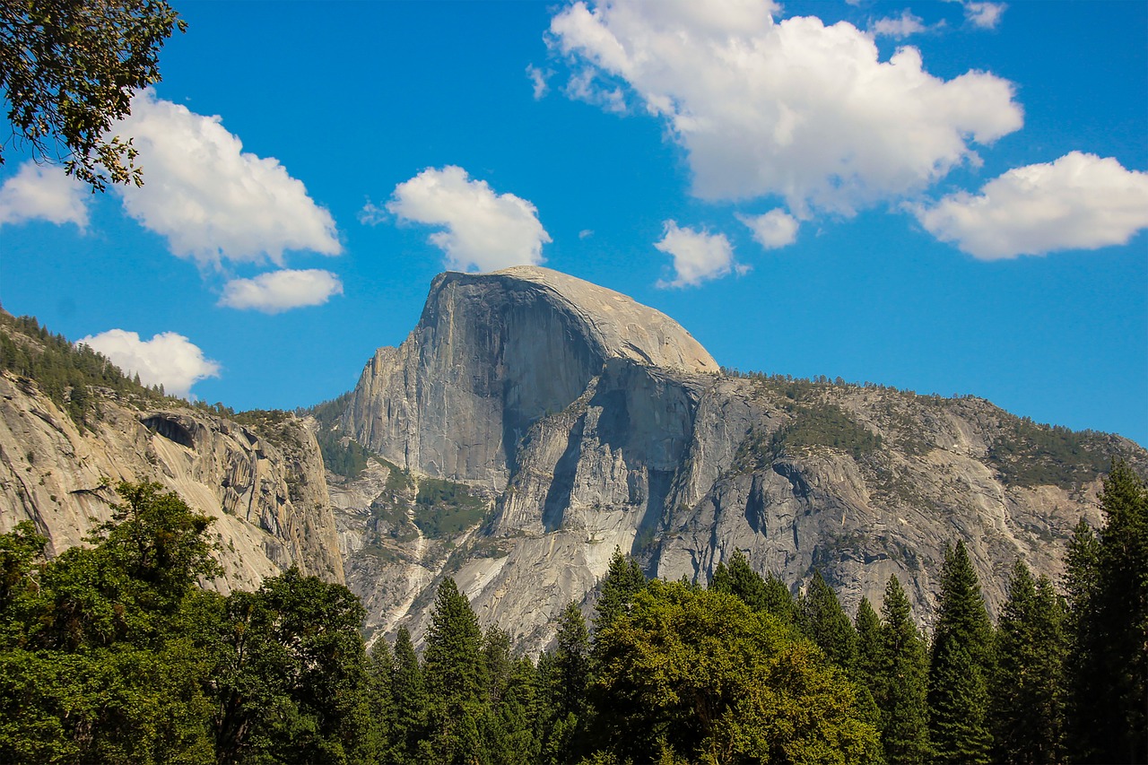 a mountain in the distance with trees in the foreground, a portrait, by Tom Carapic, shutterstock, yosemite, dome, summer afternoon, giant imposing mountain