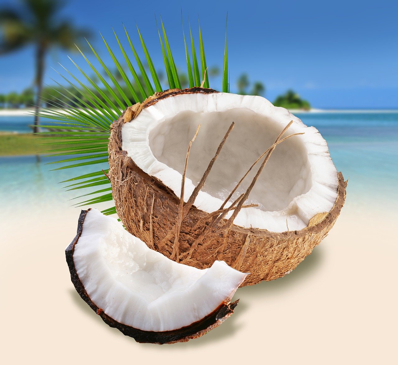 a coconut sitting on top of a sandy beach, a stock photo, by Edward Corbett, breezy background, high detail product photo, half and half, official product photo