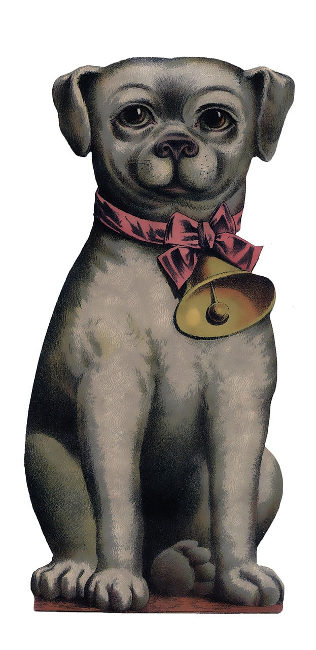 a drawing of a dog with a bell in its mouth, an illustration of, by Paul Davis, high res photograph, buxom, bow, pink nose