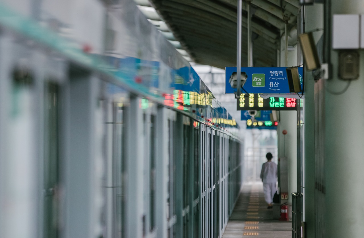 a train pulling into a train station next to a platform, a picture, by Yi Jaegwan, flickr, mingei, rows of doors, 8k 50mm iso 10, signboards, photographed for reuters