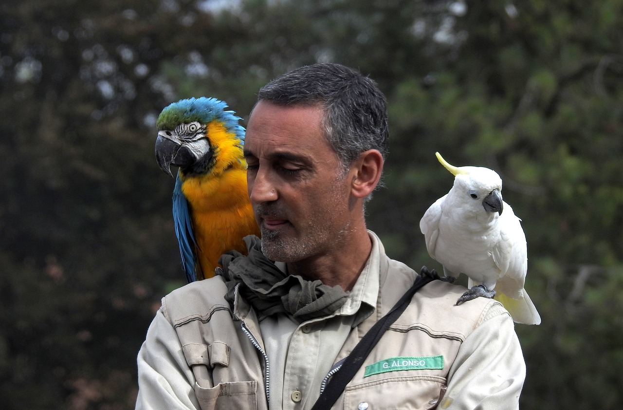 a man with a parrot on his shoulder, a photo, by Egbert van der Poel, flickr, three colors, trio, emanuele dascanio, adventurer