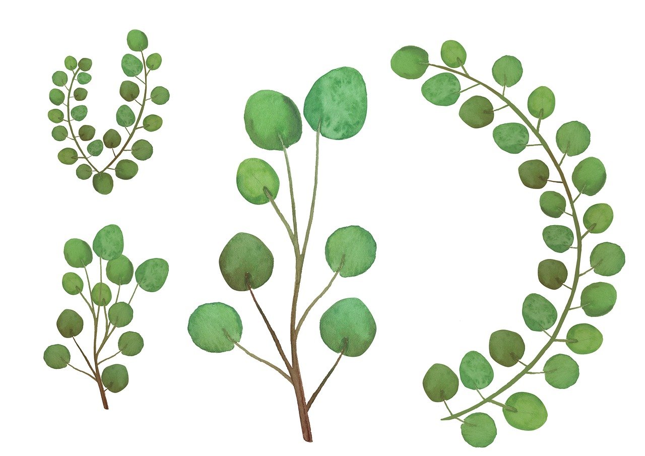 a bunch of green leaves on a white background, a digital rendering, inspired by Masamitsu Ōta, shutterstock, conceptual art, gouache, 3 - piece, circle, moringa oleifera leaves