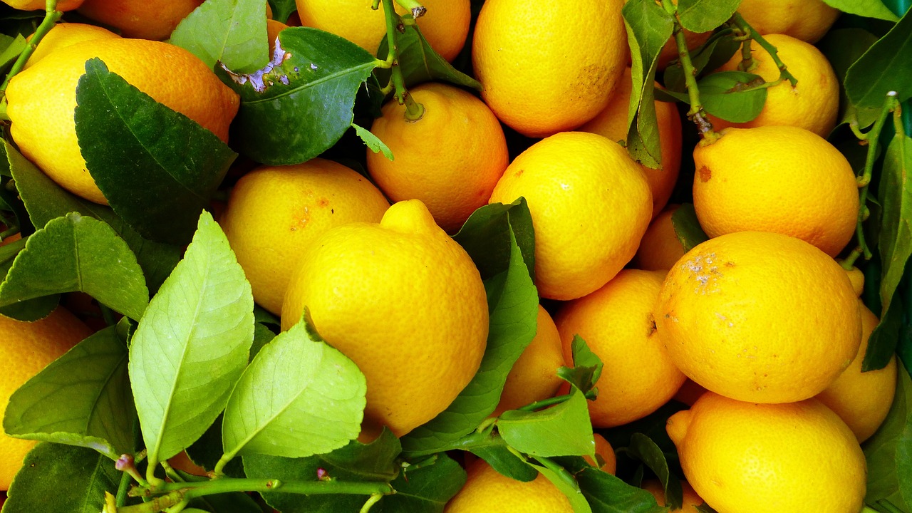 a close up of a bunch of lemons with leaves, a picture, by Dietmar Damerau, pixabay, process art, 🦩🪐🐞👩🏻🦳, vibrant vivid colors, very crisp details, bolts of bright yellow fish