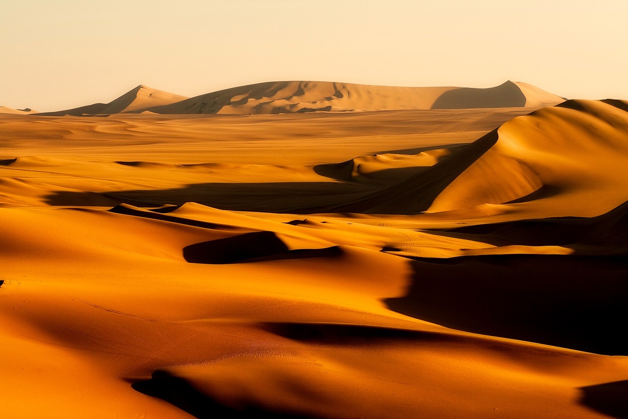 a person riding a horse through a desert, a picture, by Daniel Seghers, deep golden sand desert, sinuous, landscape of africa, gold layers