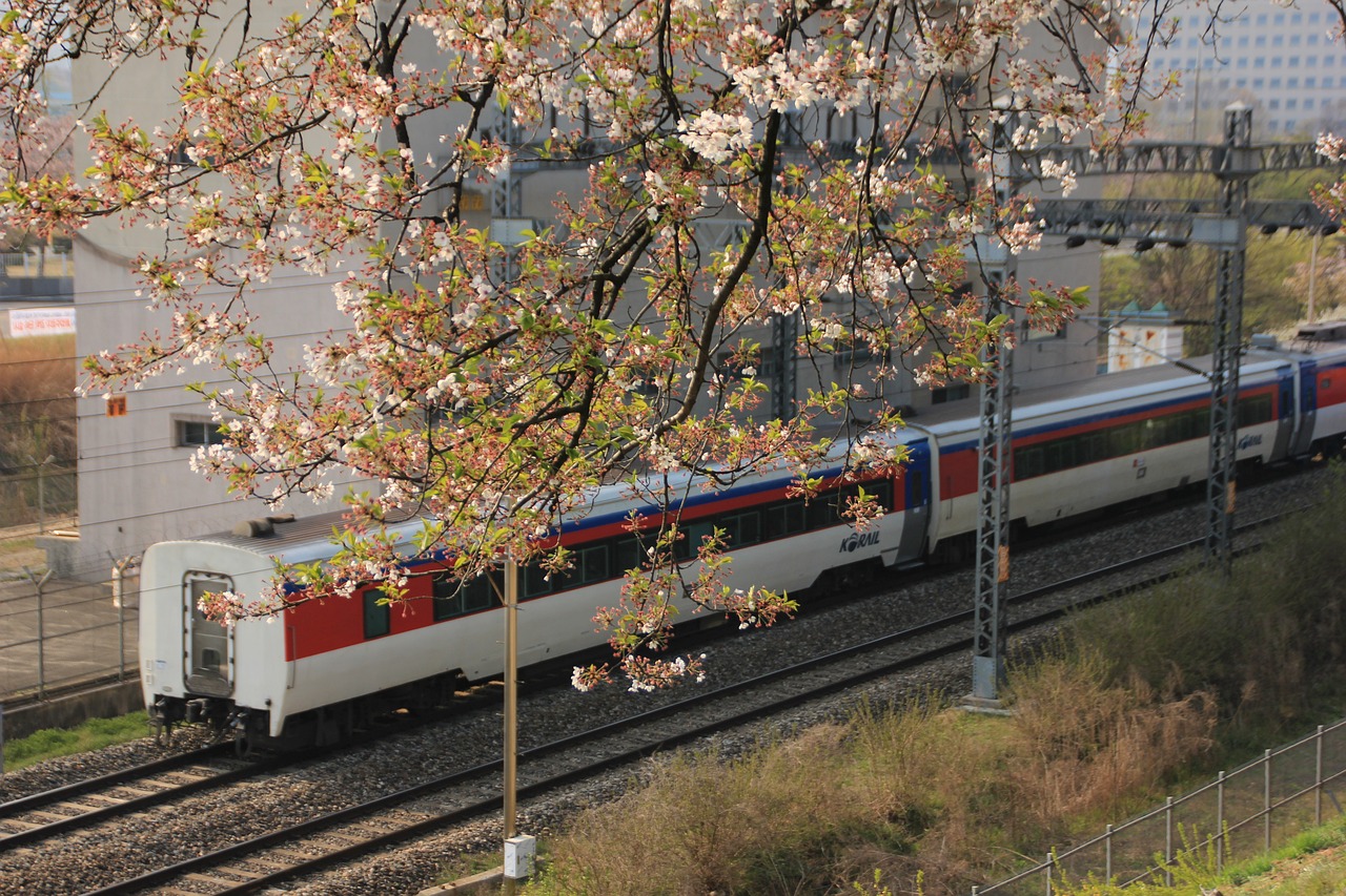 a large long train on a steel track, inspired by Miyagawa Chōshun, flickr, under sakura tree, hi-res photo, high res photo, detailed zoom photo