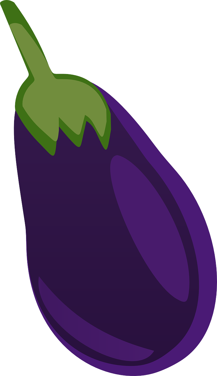 a purple eggplant on a white background, an illustration of, inspired by Masamitsu Ōta, pixabay, hurufiyya, viewed from very far away, lineless, banner, colored accurately
