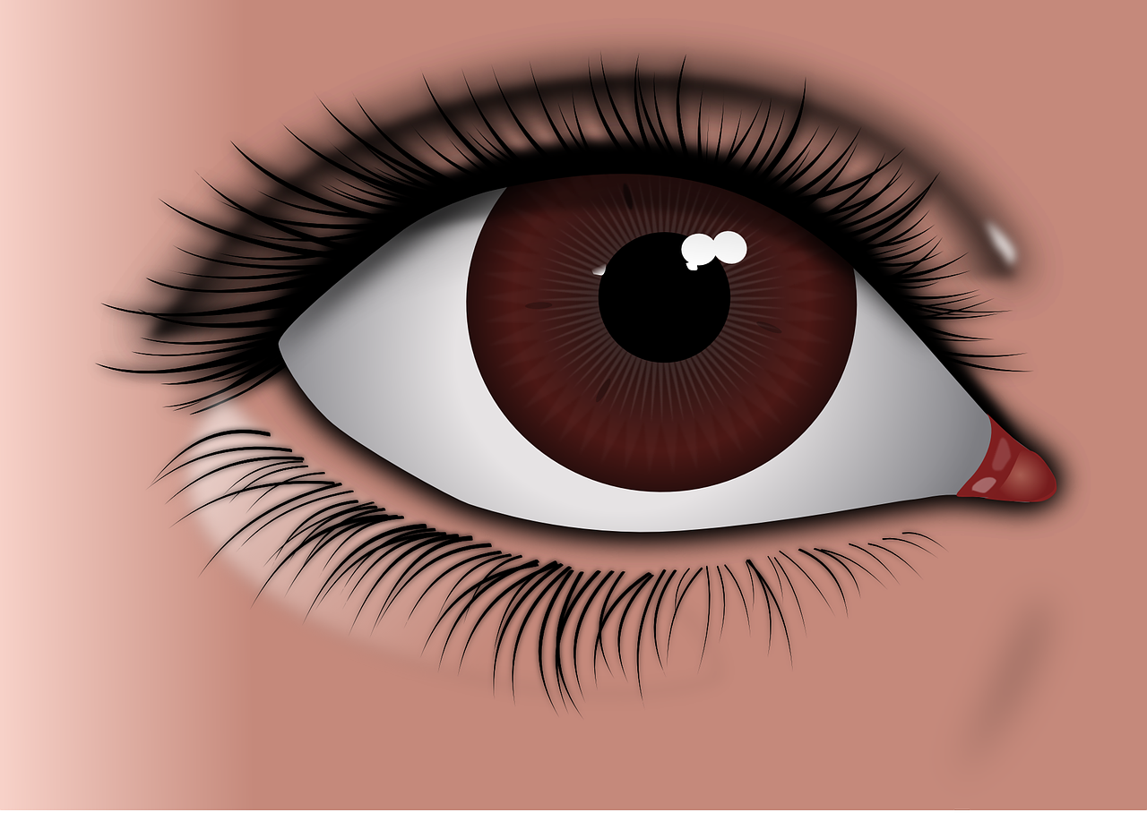 a close up of a person's eye, an illustration of, by Ayako Rokkaku, shutterstock, digital art, cel shaded vector art, reddish - brown, eye white). full body realistic, sharp focus illustration