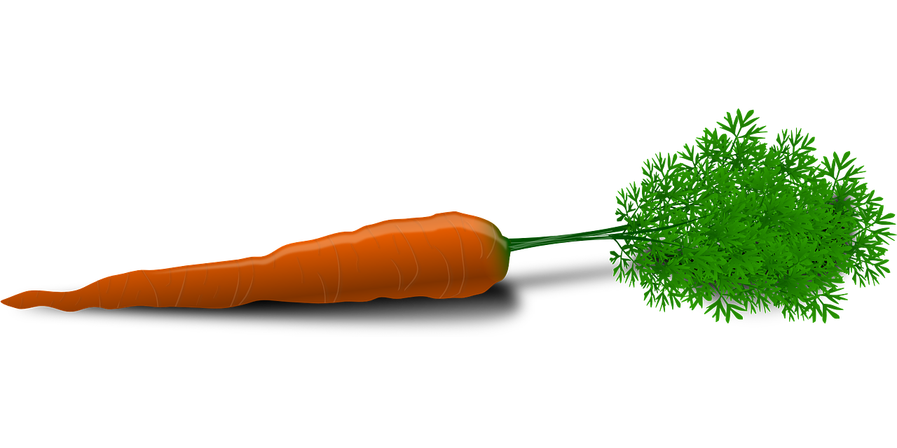 a carrot and a sprig of parsley on a black background, a digital rendering, rasquache, long nose, !!! very coherent!!! vector art, worm's-eye view, wip