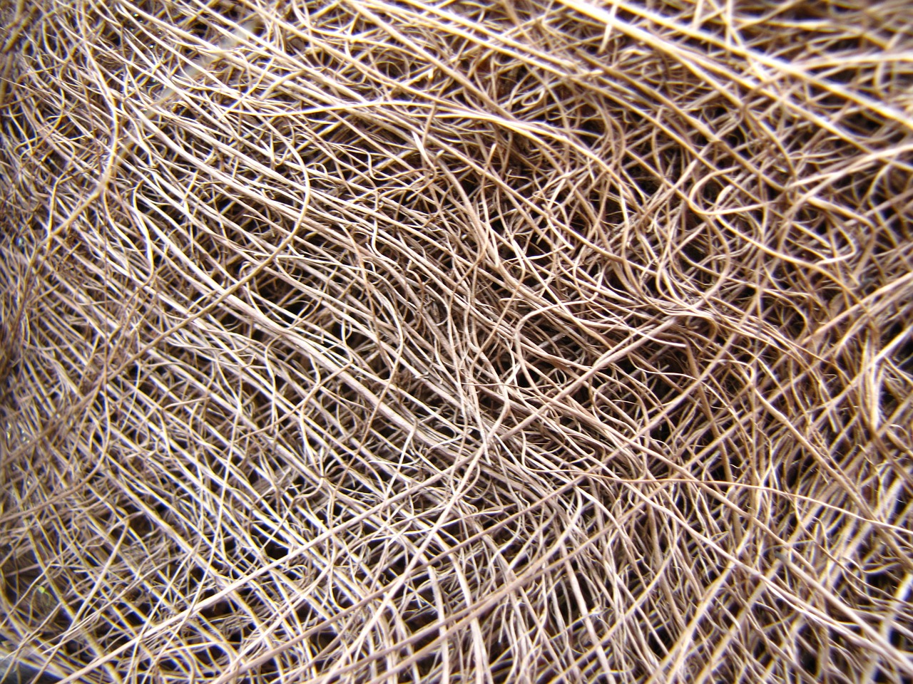 a close up of a pile of yarn, a macro photograph, inspired by Patrick Dougherty, flickr, net art, cut paper texture, tumbleweed, grain”