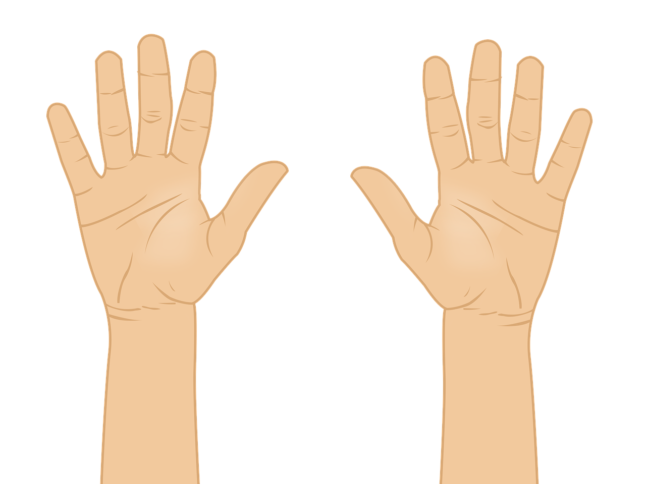 a pair of hands reaching up into the air, an illustration of, inspired by Oswaldo Guayasamín, hurufiyya, symmetrical face illustration, tiger paws as gloves, vectorized, stop frame animation