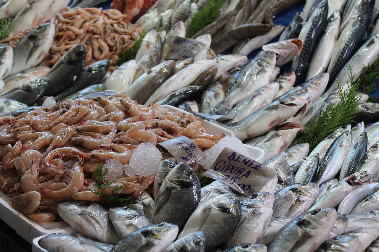 a tray filled with lots of different types of fish, shutterstock, renaissance, costa blanca, busy market, photo taken from behind, 4 0 9 6