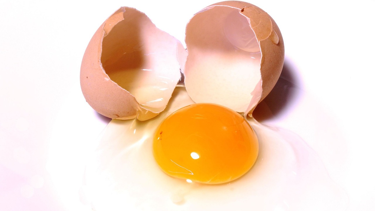 a broken egg sitting on top of a white table, by Robert Peak, flickr, super realistic food picture, “organic, a brightly coloured, gape