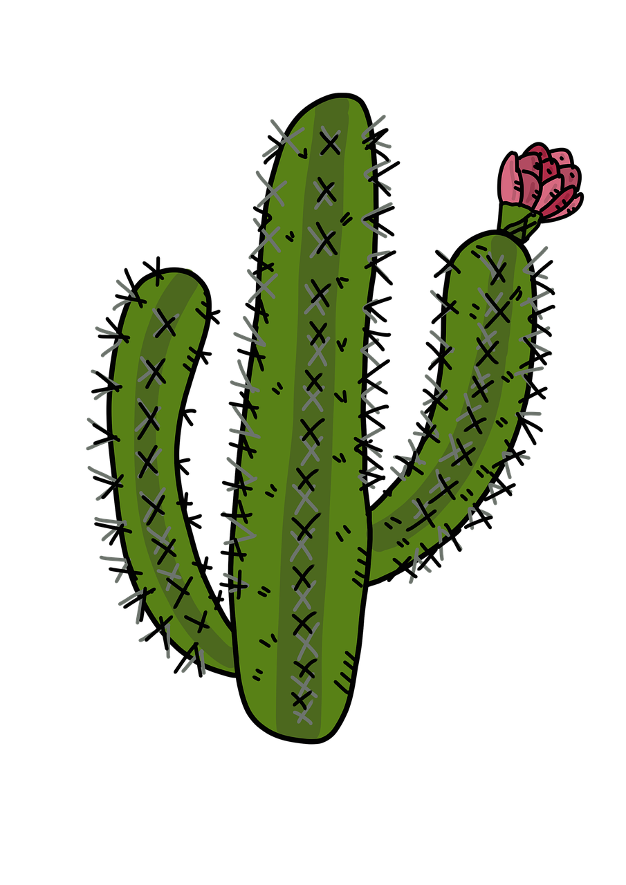 a cactus with a flower on top of it, a digital rendering, inspired by Michael Deforge, pixabay contest winner, art brut, thorns and vines. detailed, on a flat color black background, broken hearted, stitched together