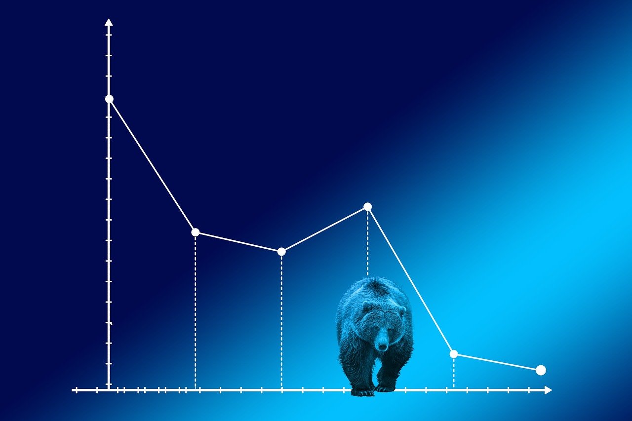 a bear standing in front of a line graph, analytical art, very accurate photo, relaxed. blue background, high res photo, bad photo