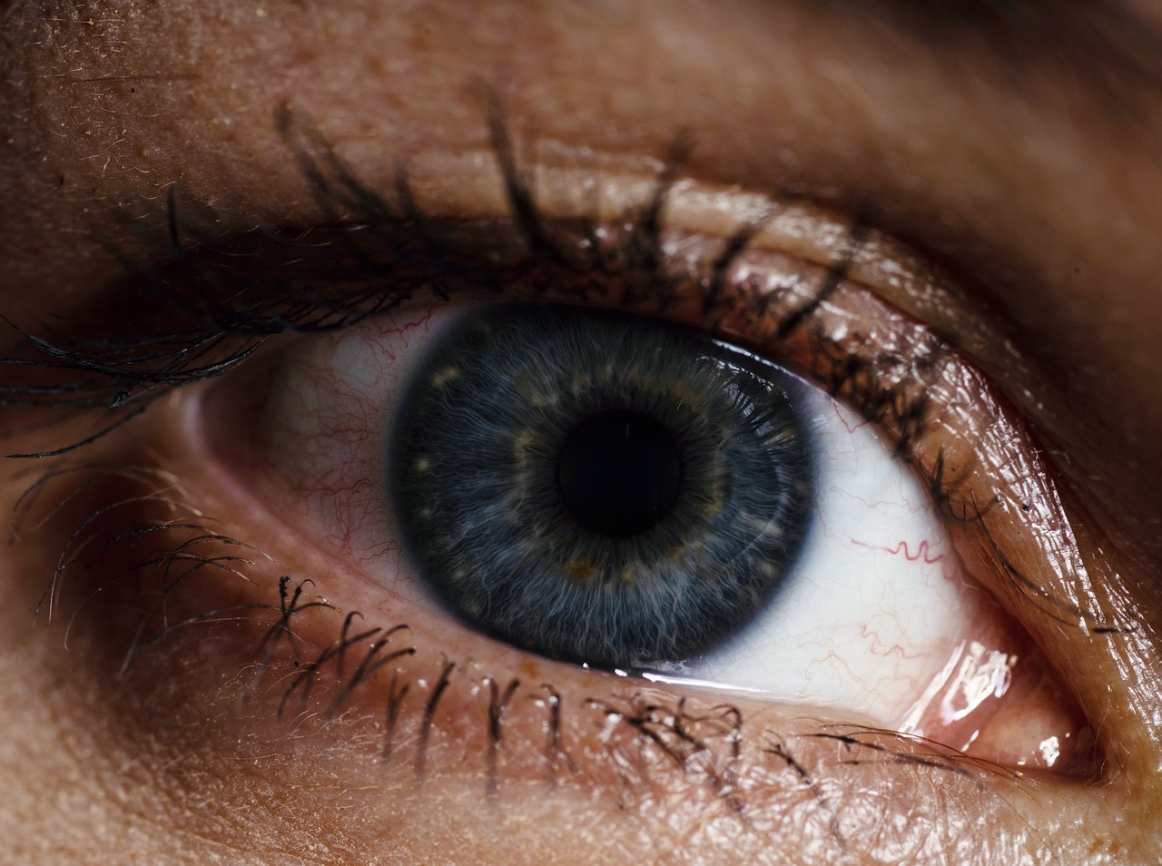 a close up of a person's blue eye, a hyperrealistic painting, by Jan Rustem, hyperrealism, hyper realistic octane render 4k, full body extreme closeup, with laser-like focus, eye of a woman