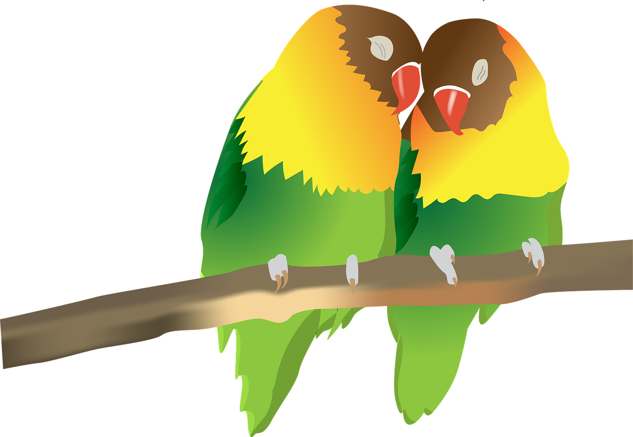 a couple of birds sitting on top of a tree branch, an illustration of, pixabay, tropical bird feathers, kissing together cutely, cel shaded vector art, bird\'s eye view