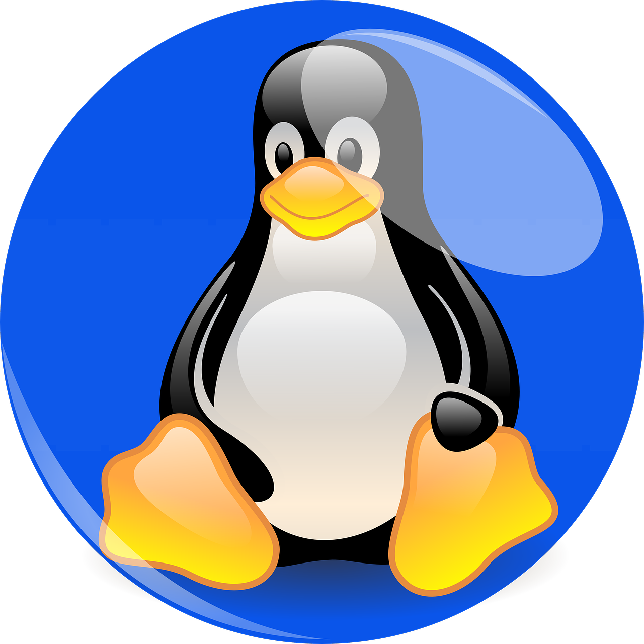 a black and white penguin sitting in a blue circle, computer art, honey, with a black background, compressed jpeg, cpu
