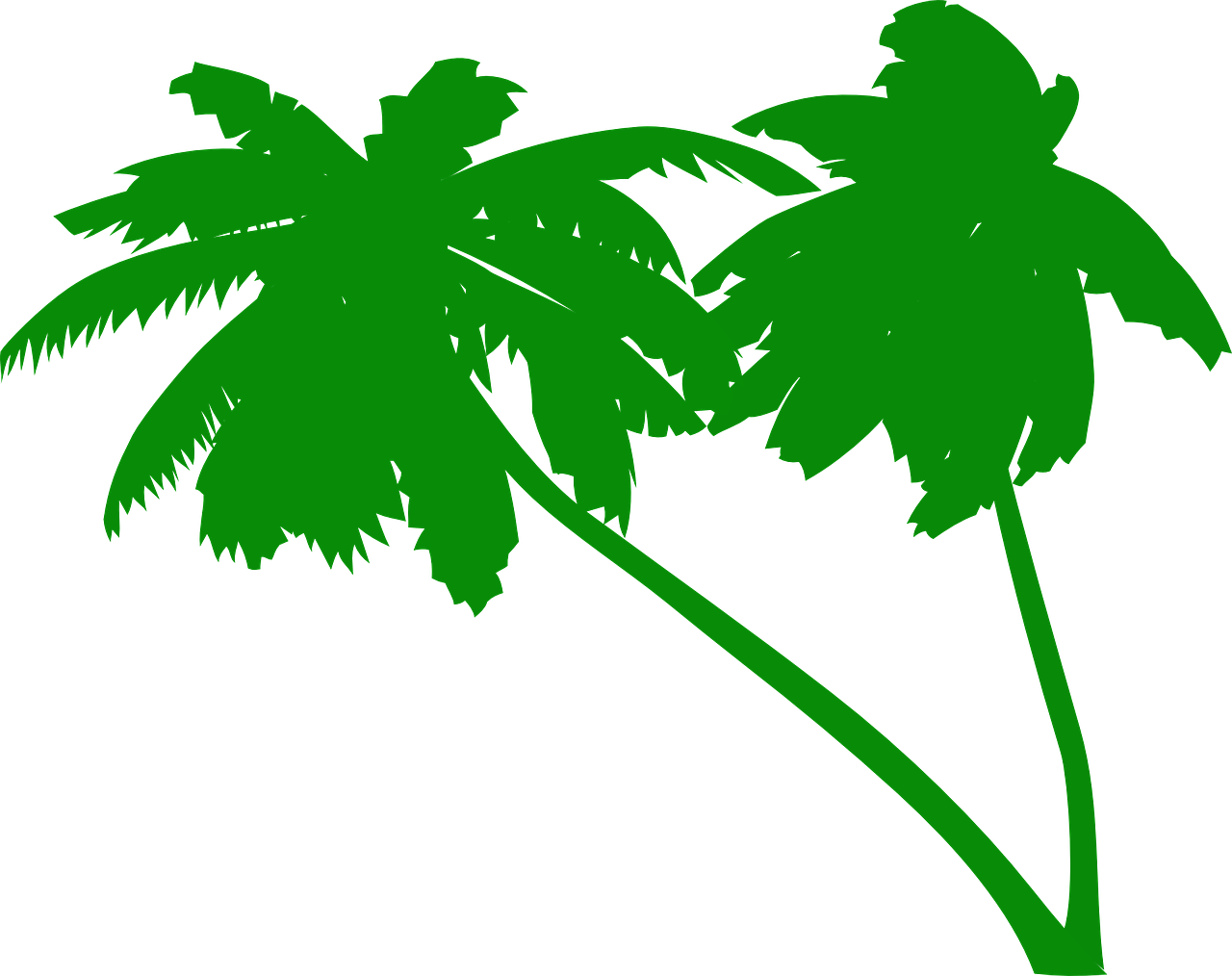two palm trees on a black background, inspired by Masamitsu Ōta, deviantart, it\'s name is greeny, drawn in microsoft paint, alternate album cover, loosely cropped