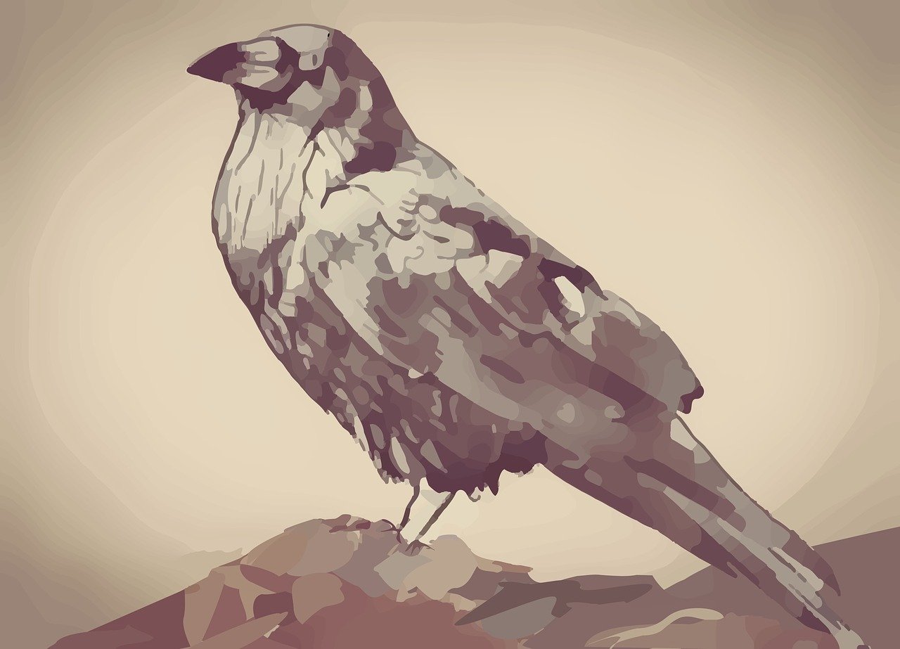 a bird sitting on top of a rock, vector art, inspired by Gonzalo Endara Crow, shutterstock, digital art, cool sepia tone colors, low polygons illustration, done in the style of caravaggio, painterly illustration