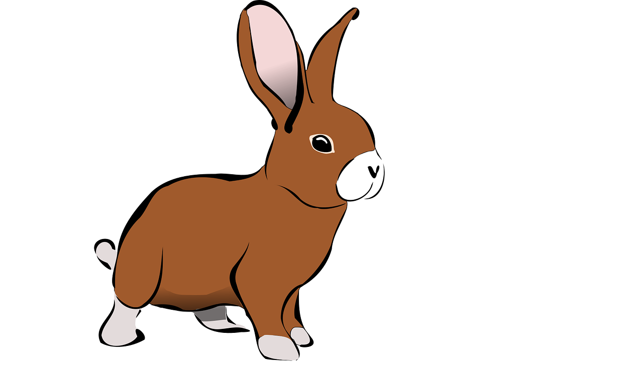 a drawing of a brown rabbit on a white background, an illustration of, trending on pixabay, with a white muzzle, colored lineart, mule, full screen