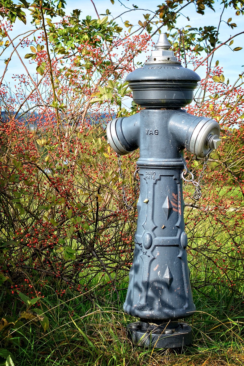 a fire hydrant sitting in the middle of a field, pixabay, folk art, with soft bushes, shiny silver, rubberhose style, details and vivid colors