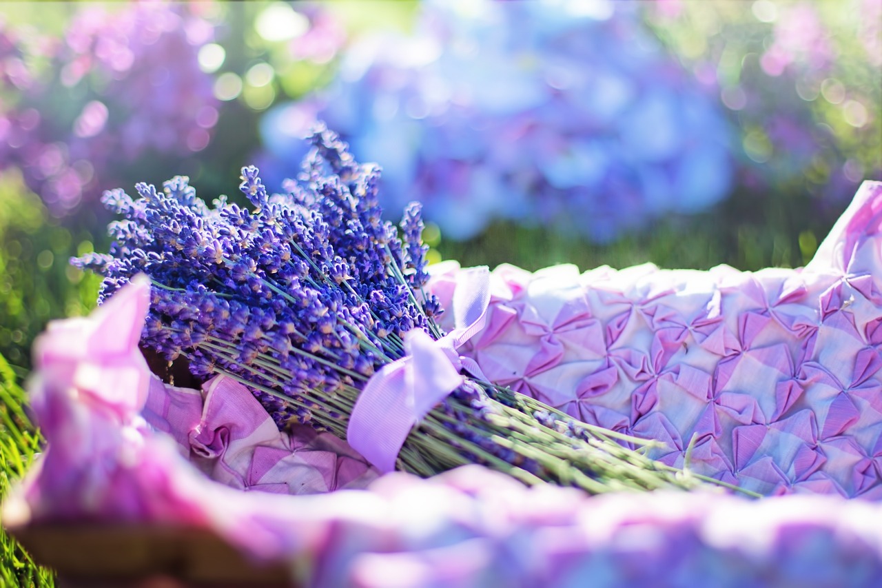 a basket filled with lots of purple flowers, a picture, by Zofia Stryjenska, shutterstock, blue soft details, sparkling in the sunlight, purple cloth, stock photo