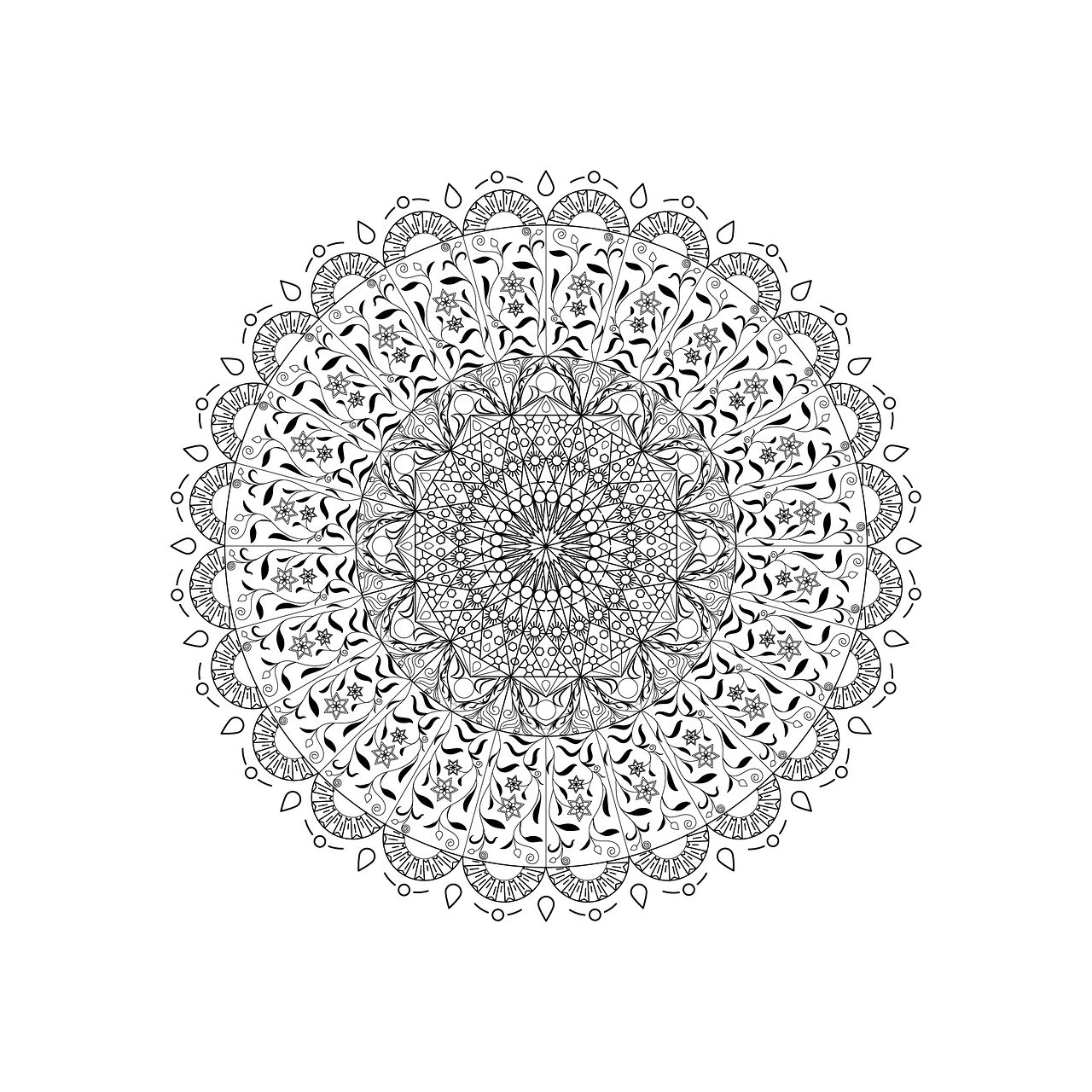 a black and white drawing of a flower, vector art, inspired by Jan Müller, generative art, a beautiful buddhist mandala, design on a white background, created in adobe illustrator, intricate patterns 4k