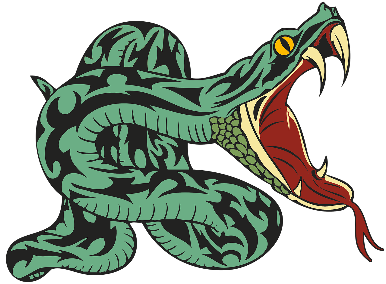 a close up of a snake with its mouth open, an illustration of, inspired by Ravi Zupa, shutterstock, red green black teal, mascot illustration, sticker illustration, 3 4 5 3 1